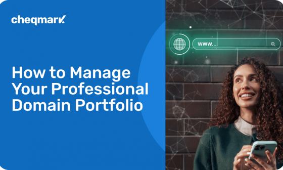Manage Your Professional Domain Portfolio