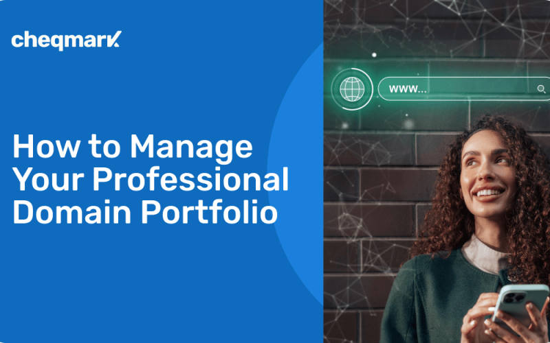 Manage Your Professional Domain Portfolio